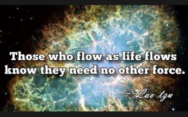 Flow as Life Flows
